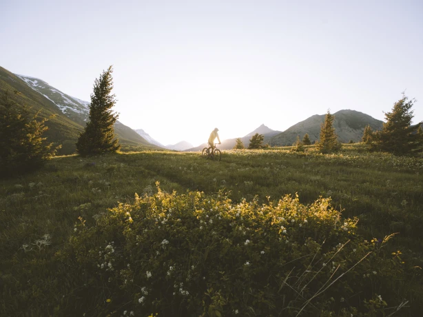 CAN Alberta Solo