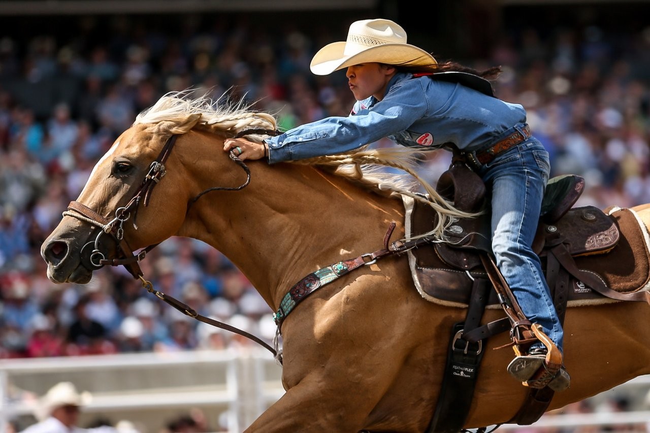 Cowgirl reitet auf Pferd auf der Calgary Stampede
