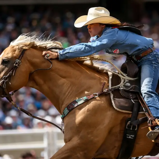 Cowgirl reitet auf Pferd auf der Calgary Stampede