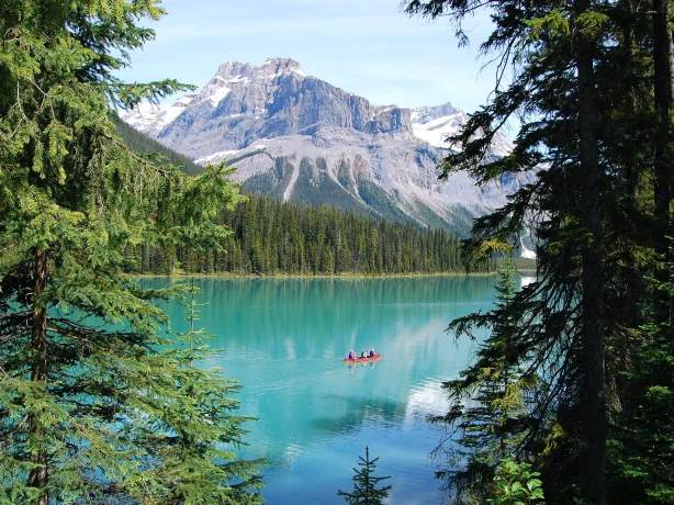 Ein Kanu paddelt über den Emerald Lake im Yoho-Nationalpark in British Columbia, umgeben von Bäumen und Bergen.