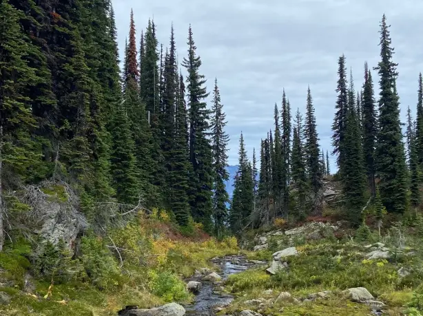 Canada Yuri nature2