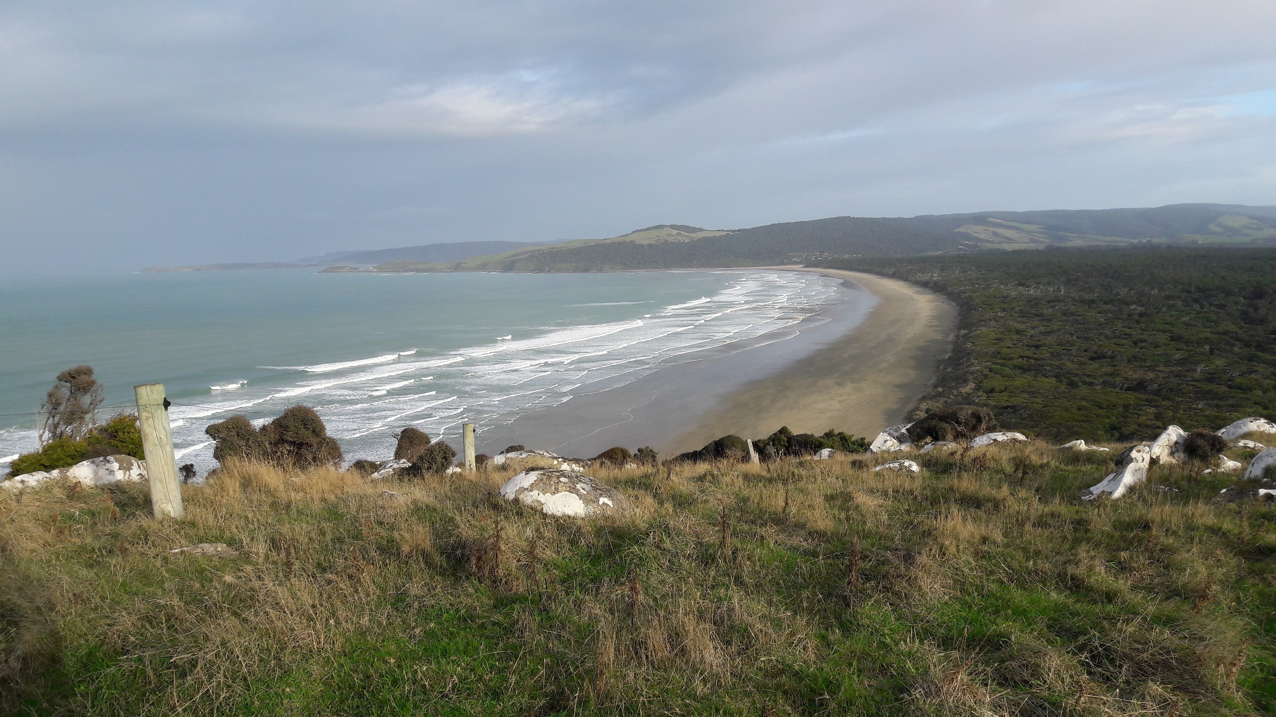 Catlins 03