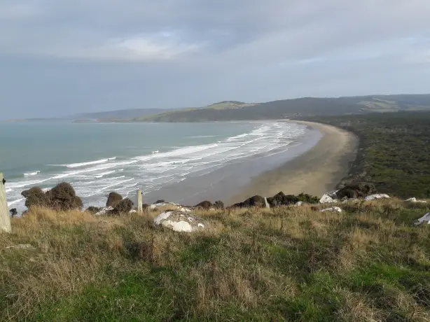 Catlins 03