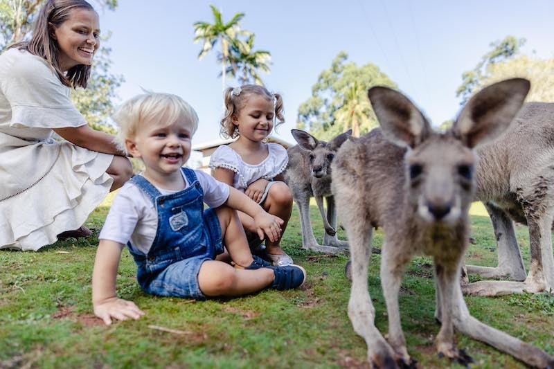 Copy of Cooberrie Park Capricorn Coast 1