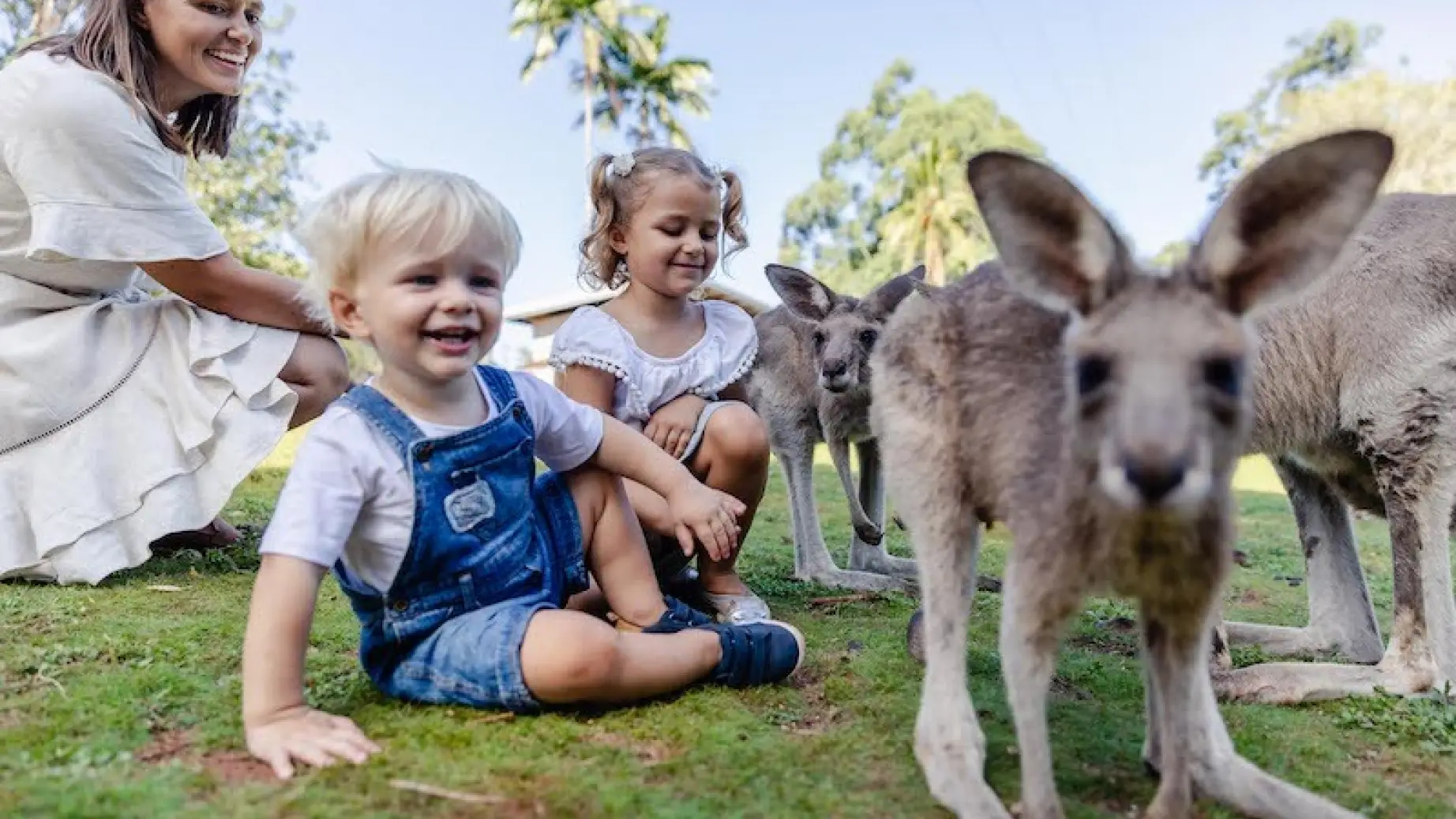 Copy of Cooberrie Park Capricorn Coast 1