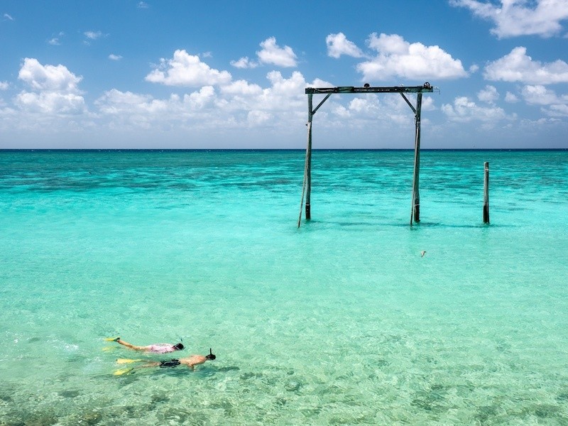 Heron Island