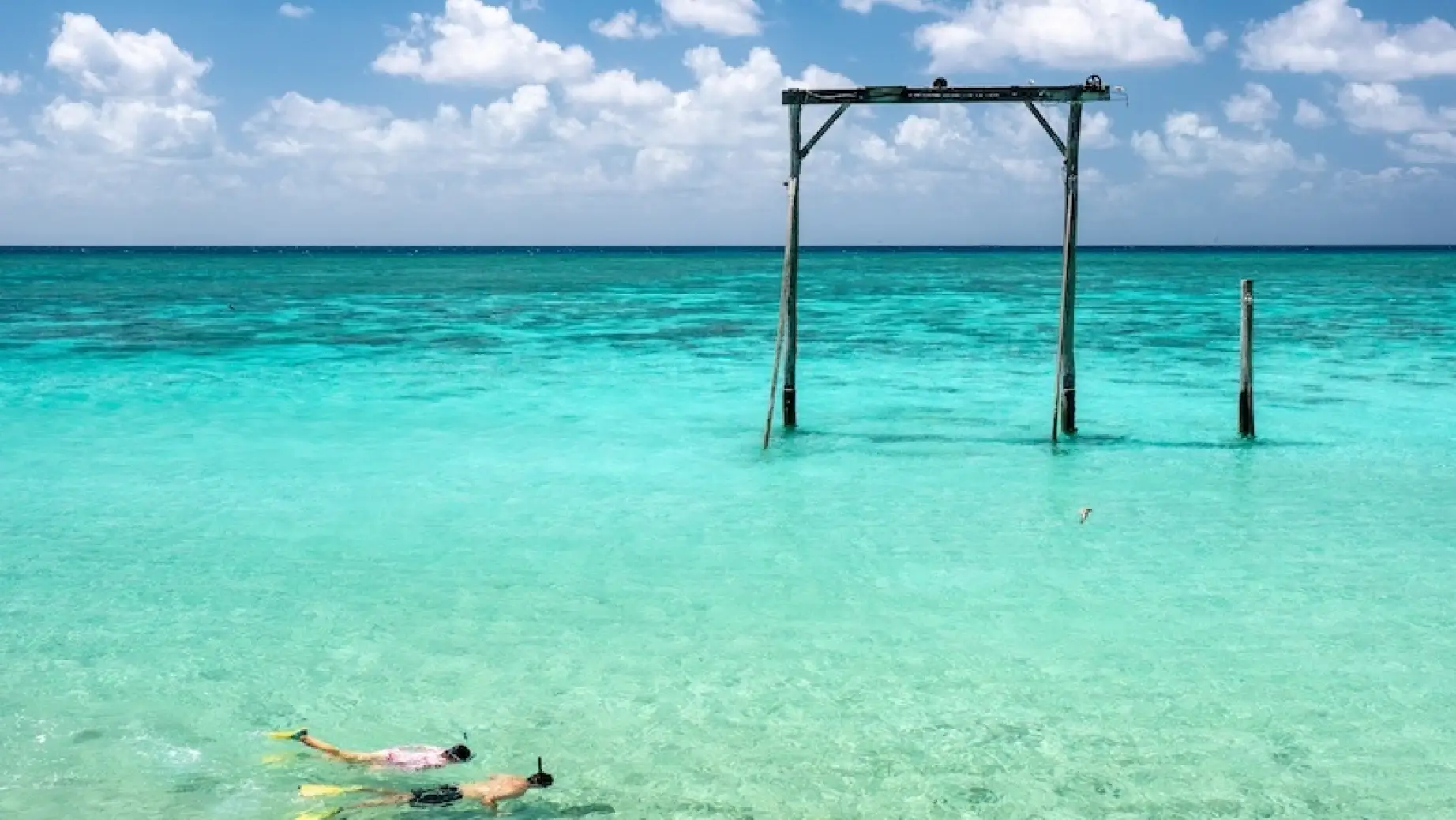 Heron Island