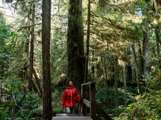 Kanada British Columbia Ucluelet
