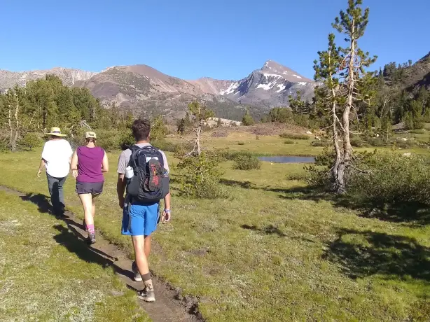 Family Yosemite National Park California United States Hike View Guide Service 547515