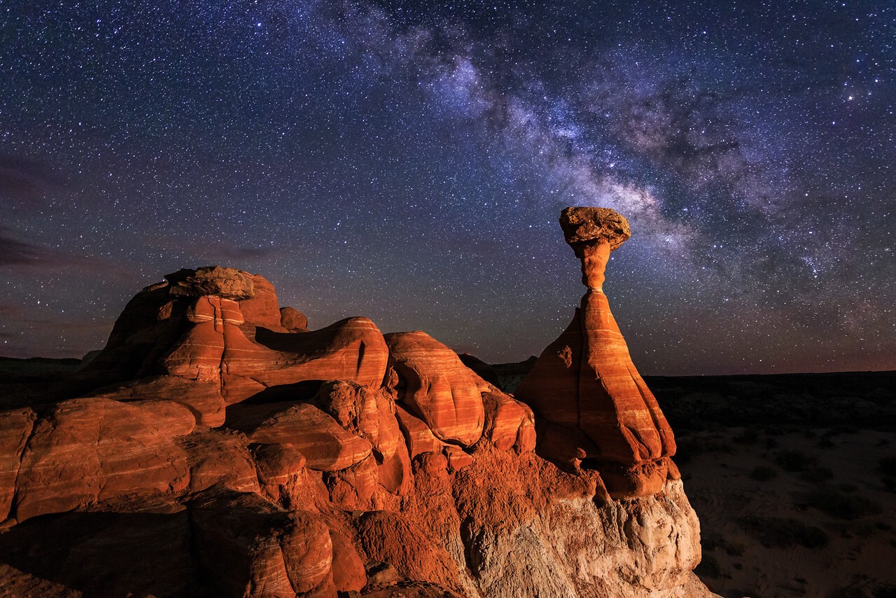 Grand Staircase DS Toadstools MW KCOT X2
