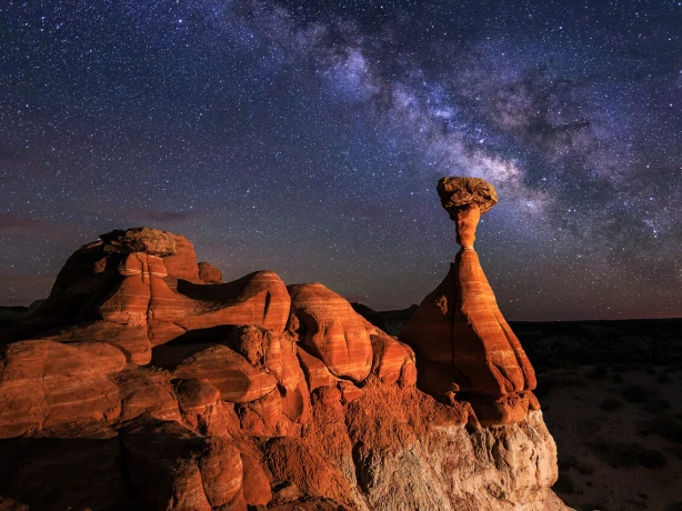 Grand Staircase DS Toadstools MW KCOT X2