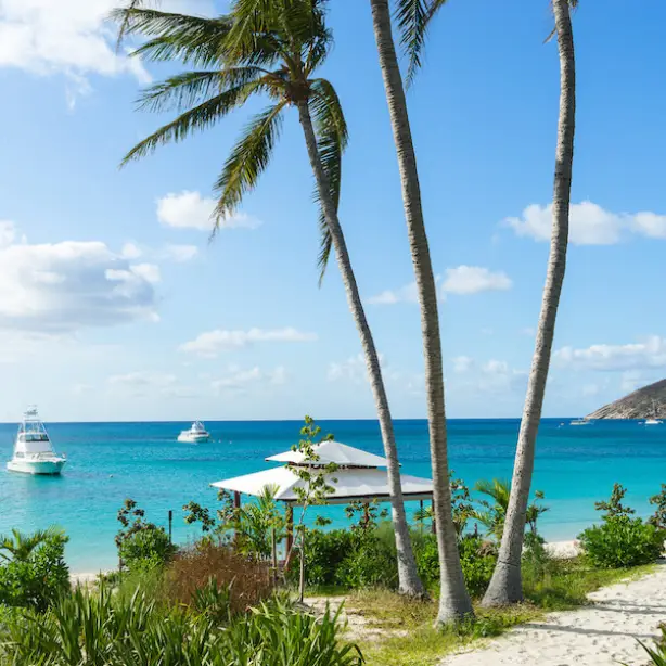 Australien Tropical North Queensland Lizard Island