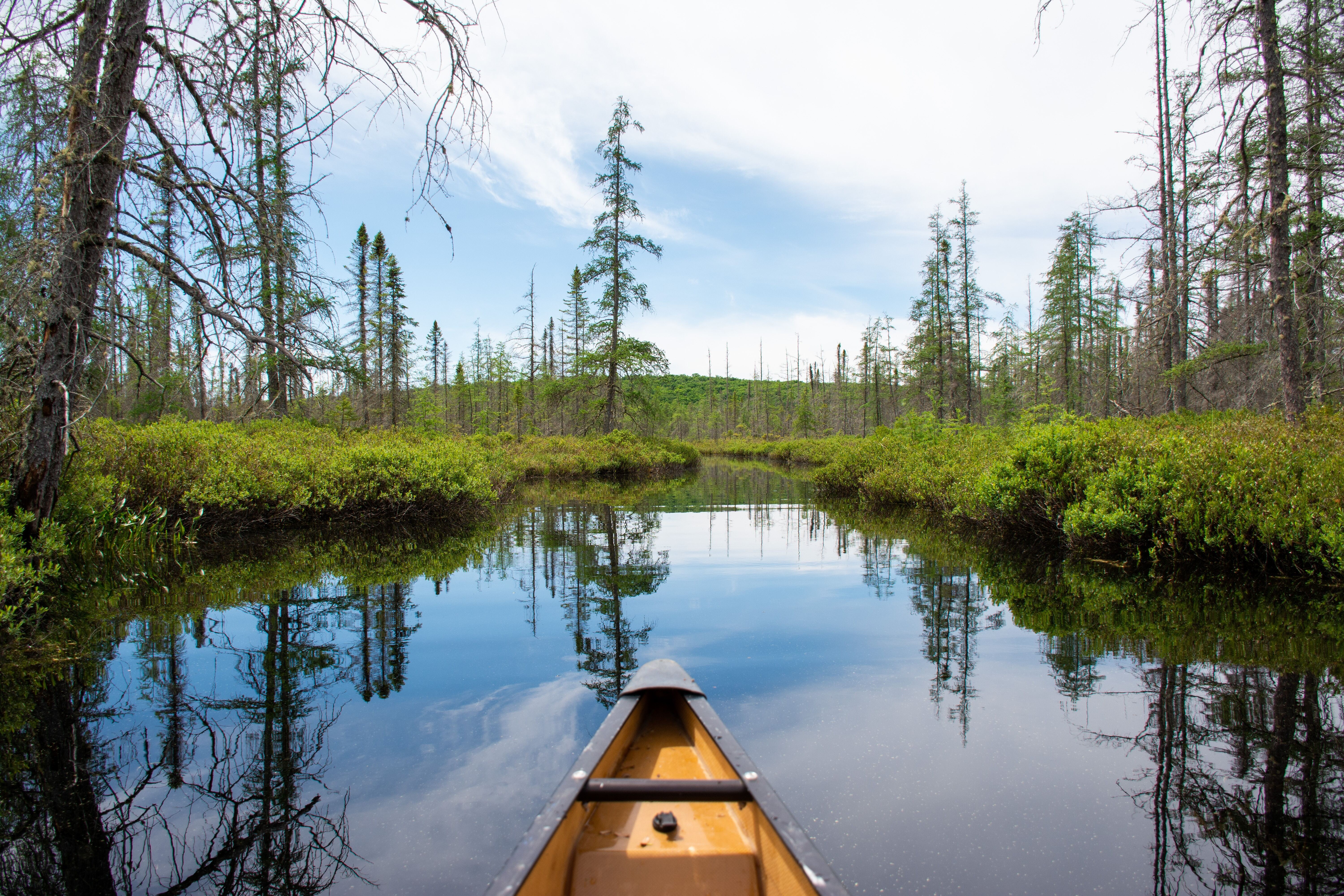 Das Heck eines Kanus, das durch die Gewässer des Algonquin-Provinzparks gleitet, umgeben von üppigem Grün