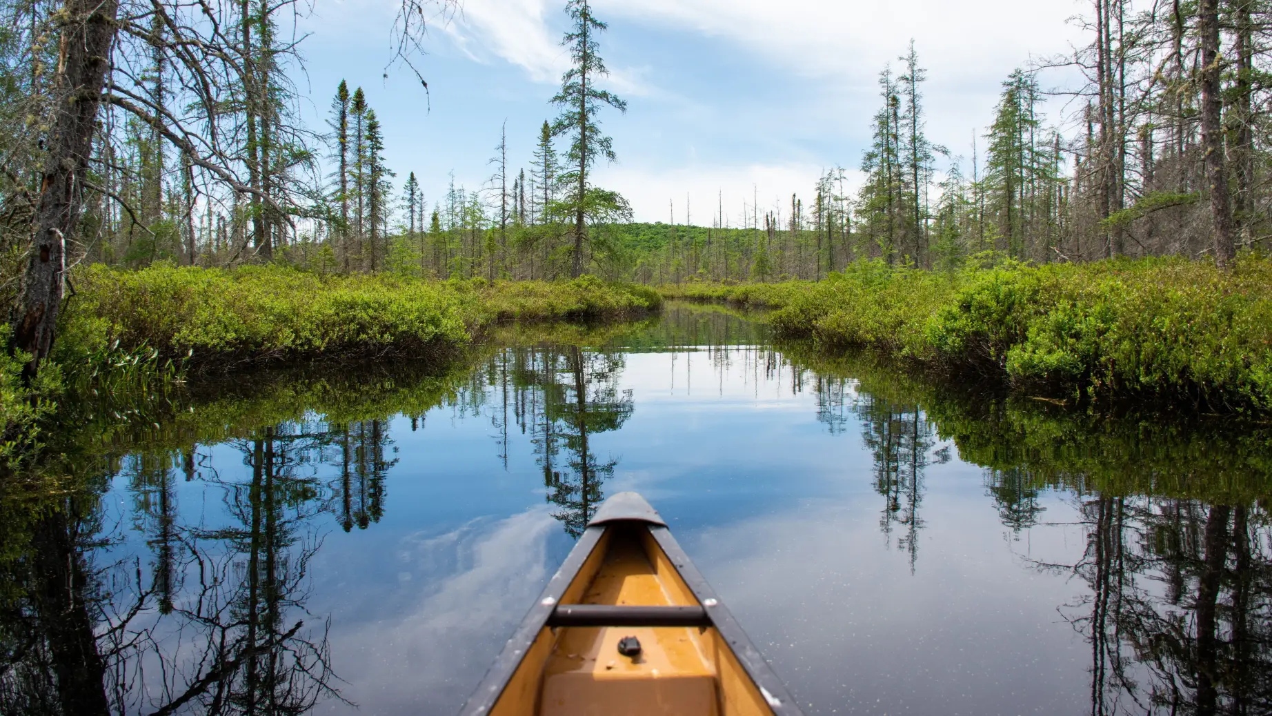 Das Heck eines Kanus, das durch die Gewässer des Algonquin-Provinzparks gleitet, umgeben von üppigem Grün