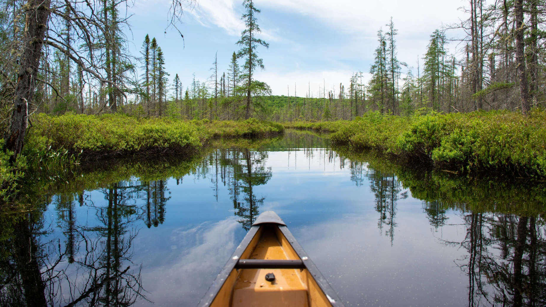 Das Heck eines Kanus, das durch die Gewässer des Algonquin-Provinzparks gleitet, umgeben von üppigem Grün