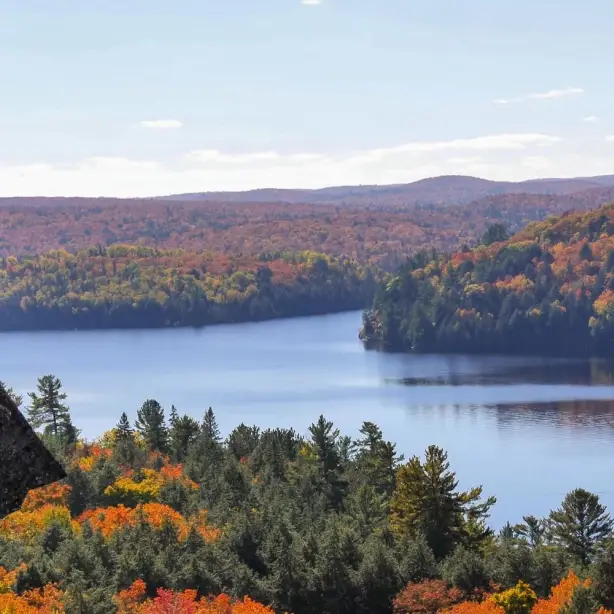 LA East Canada Algonquin Park river