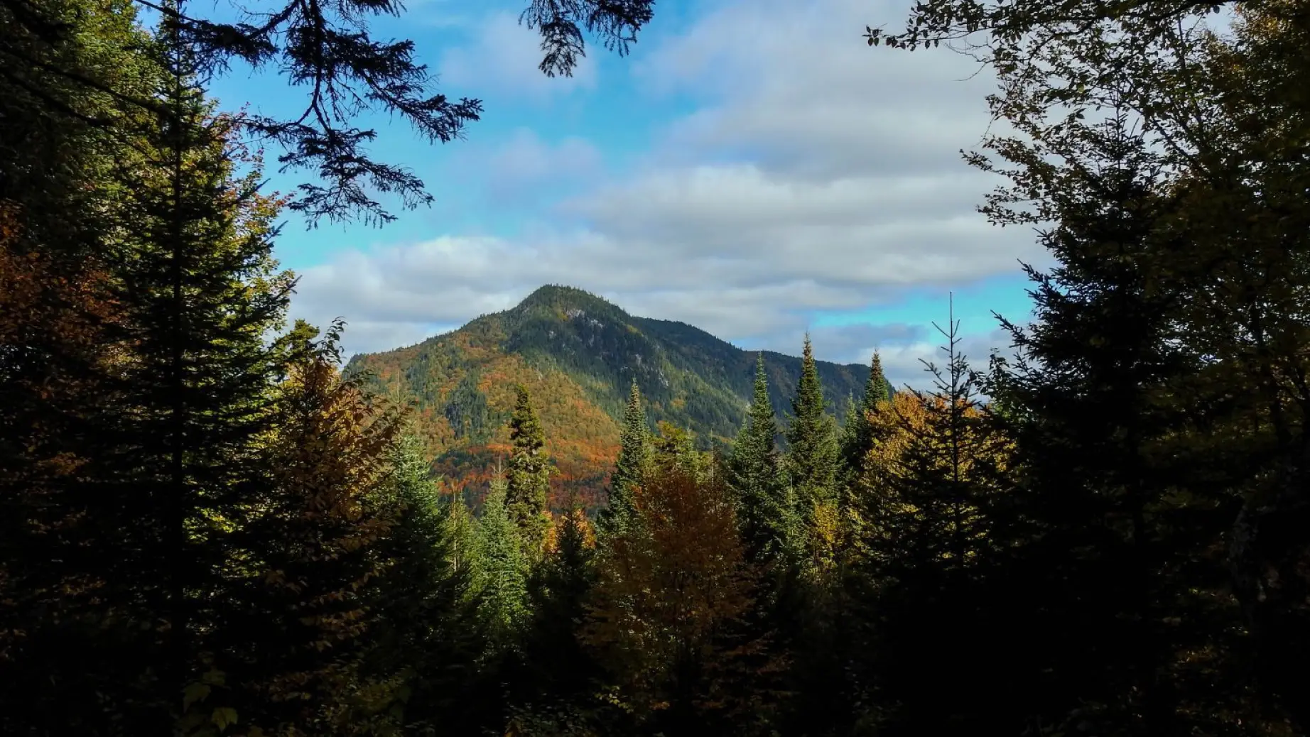 LA places East Canada Quebec Jacques Cartier National Park mountain