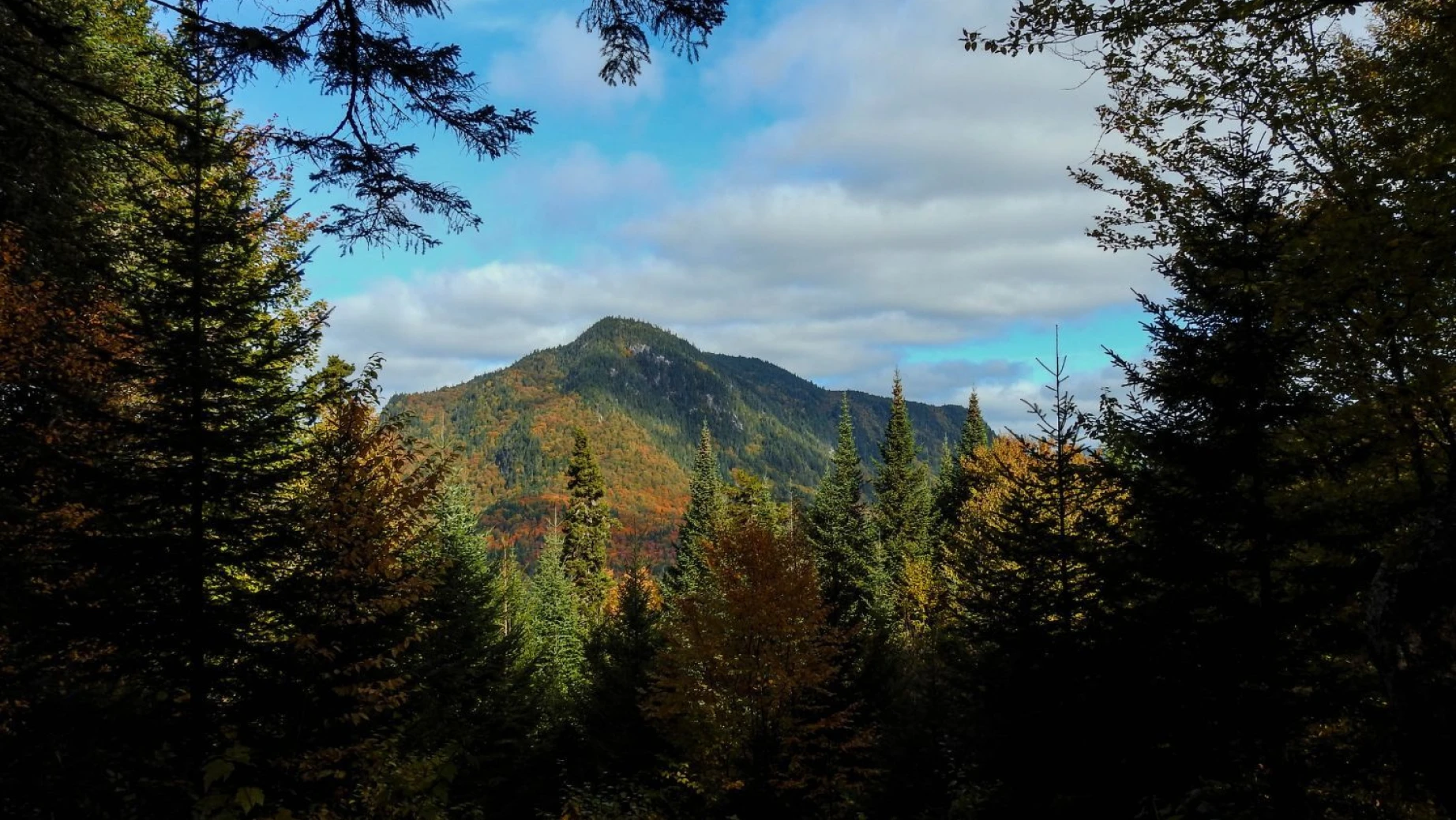 LA places East Canada Quebec Jacques Cartier National Park mountain