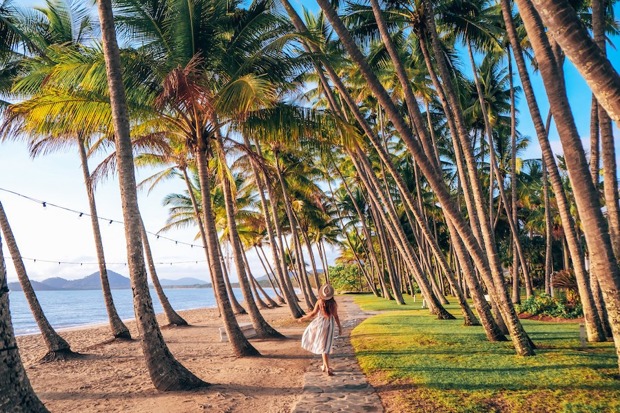 Australien Tropical North Queensland Palm Cove