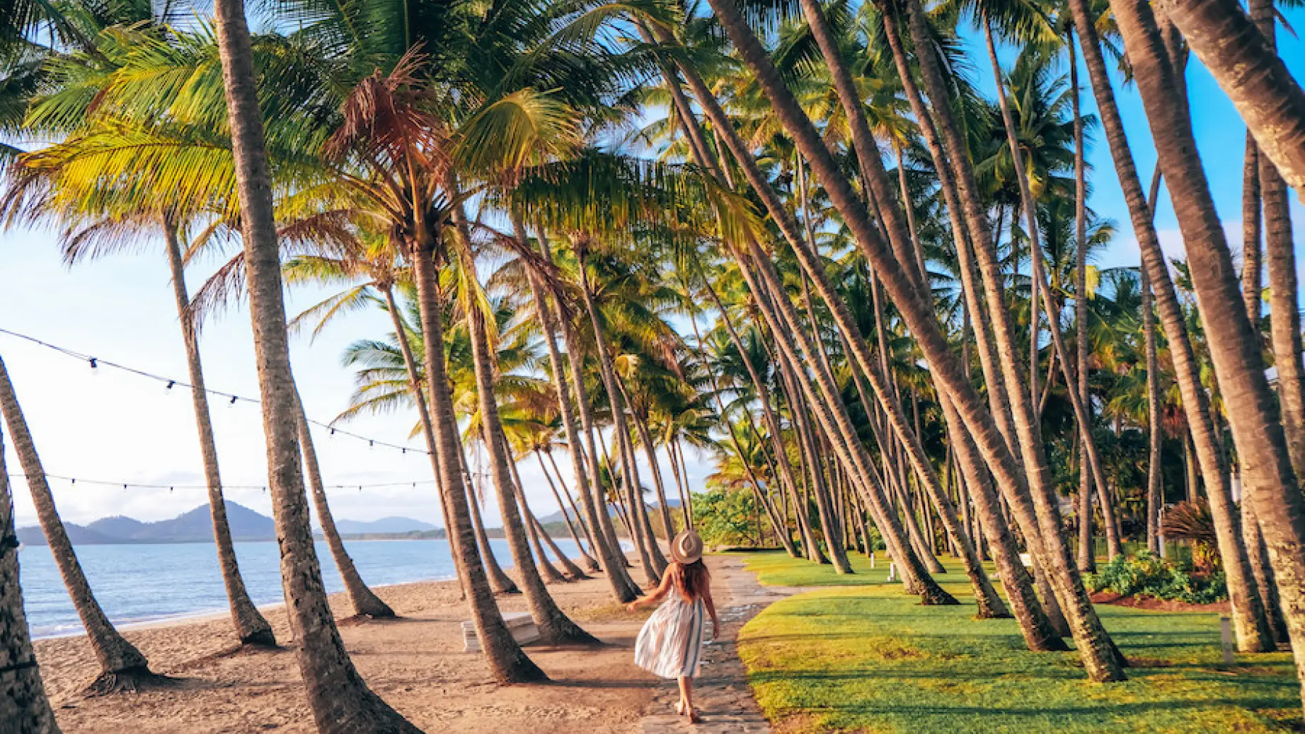 Australien Tropical North Queensland Palm Cove