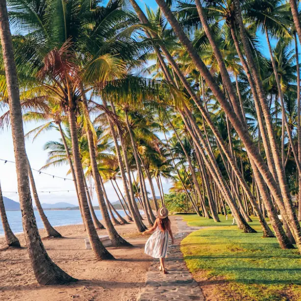 Australien Tropical North Queensland Palm Cove
