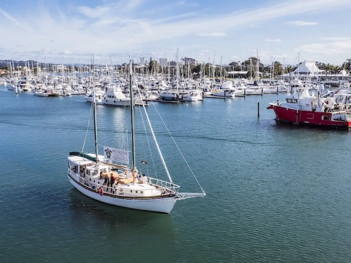 Saltwater Eco Tours 37