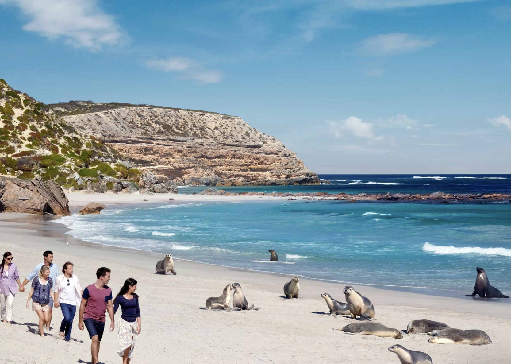 Seal Bay Conservation Park Australia