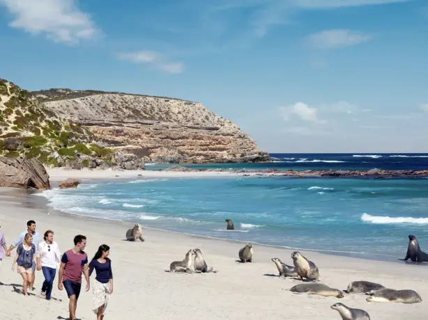 Seal Bay Conservation Park Australia
