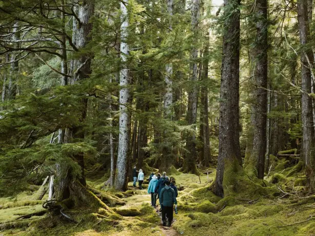 Kanada British Columbia Haida Gwaii