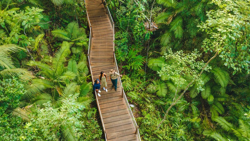 Skyrail Rainforest Cableway