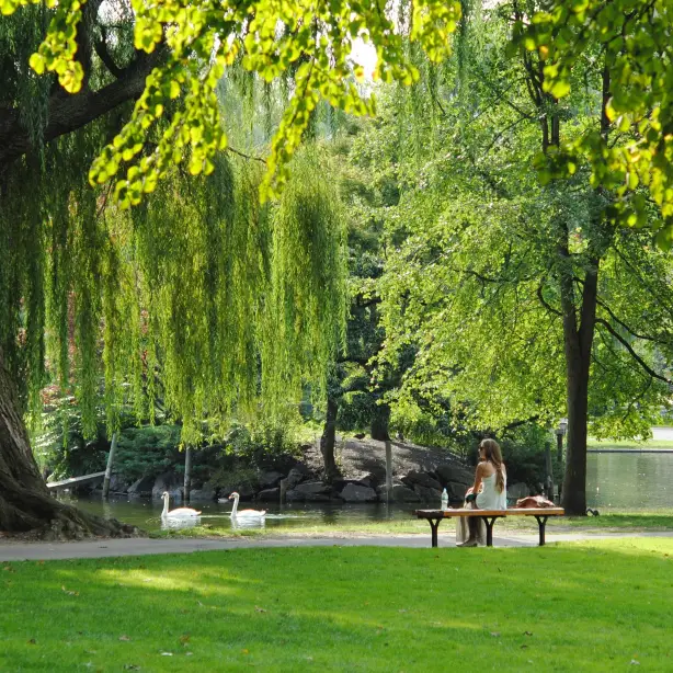 US New England Boston city park