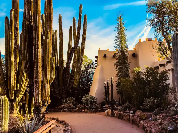 US Arizona Phoenix desert botanical garden nichole granja unsplash