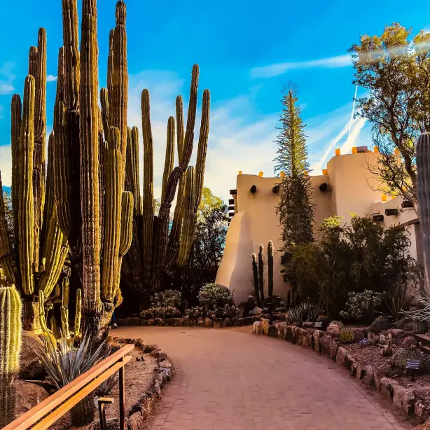 US Arizona Phoenix desert botanical garden nichole granja unsplash