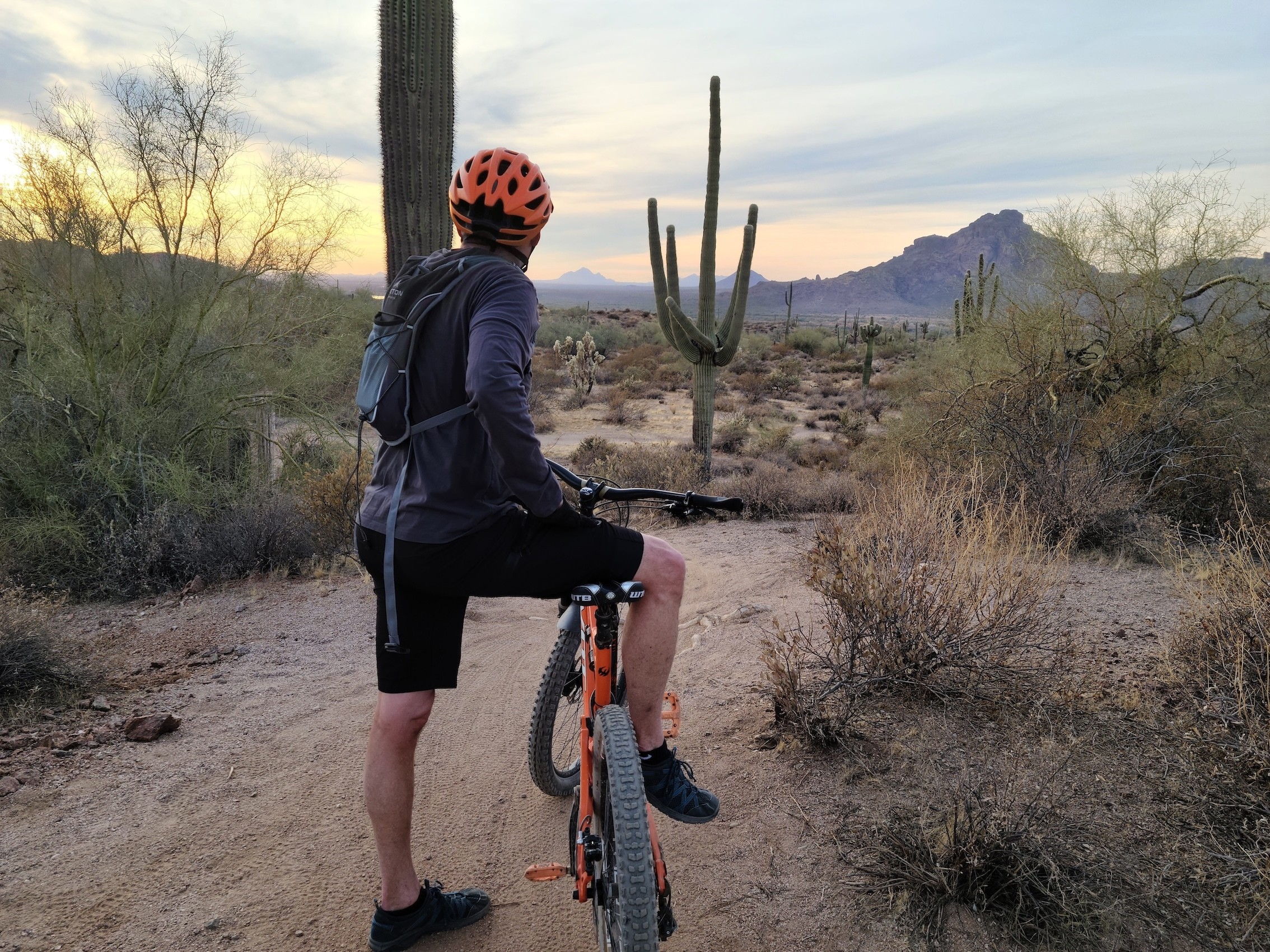 A cyclist rests and looks at a cactus while cycling through the desert in Phoenix, Arizona