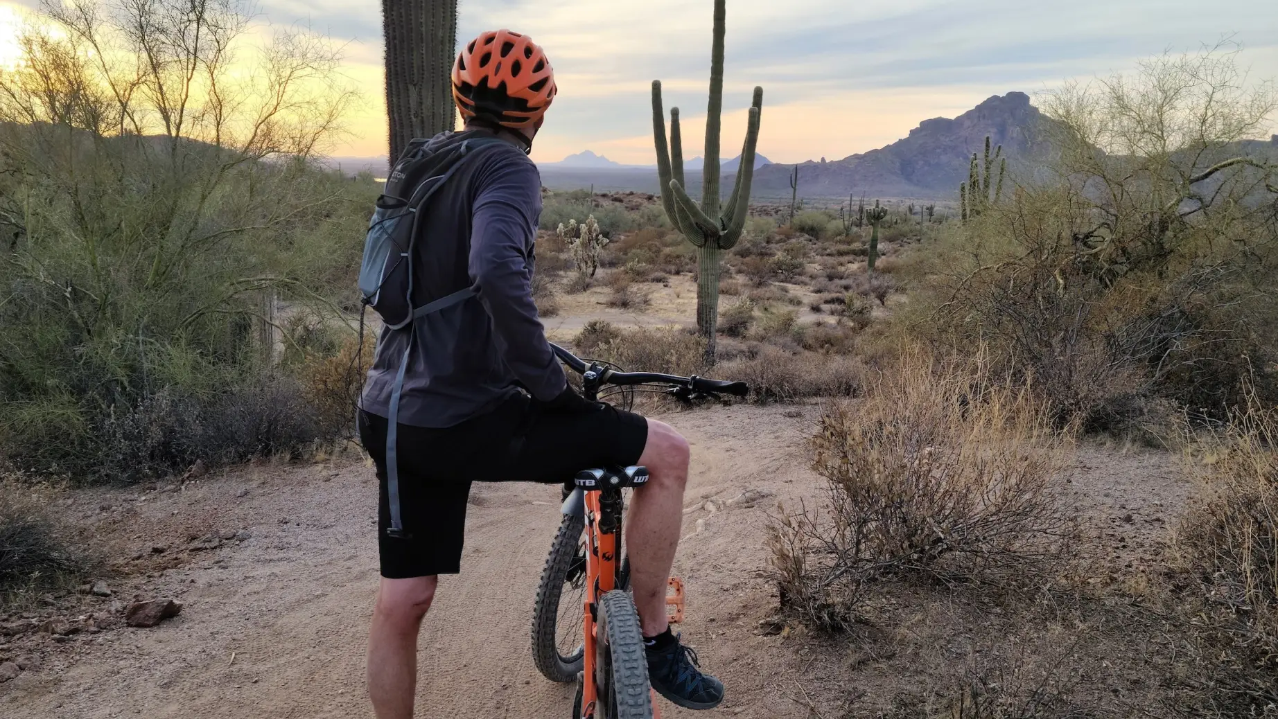 A cyclist rests and looks at a cactus while cycling through the desert in Phoenix, Arizona