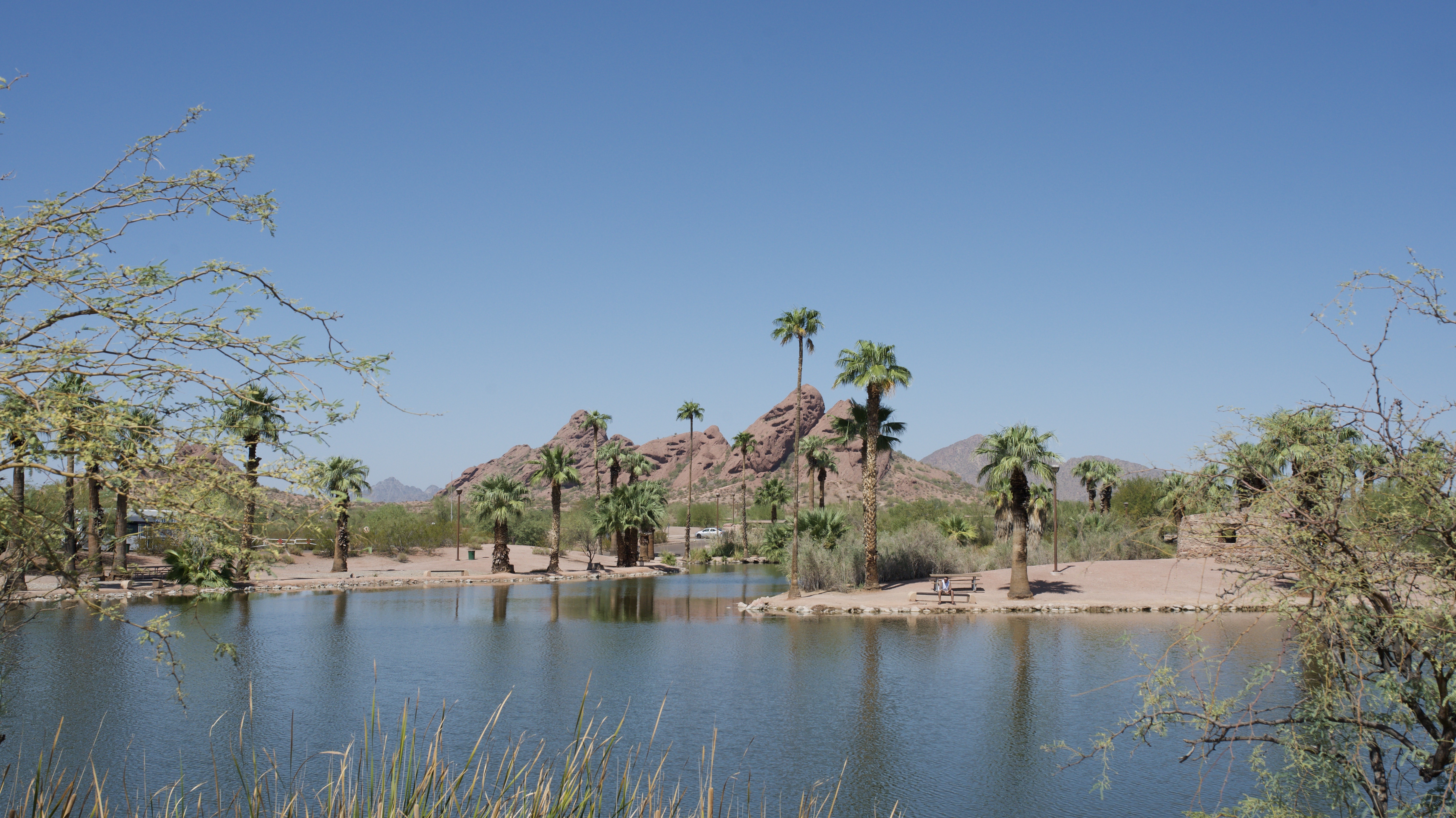 US Arizona Phoenix desert oasis