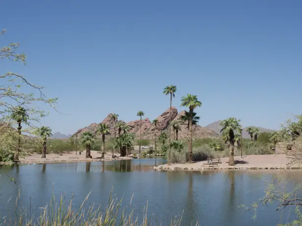 US Arizona Phoenix desert oasis