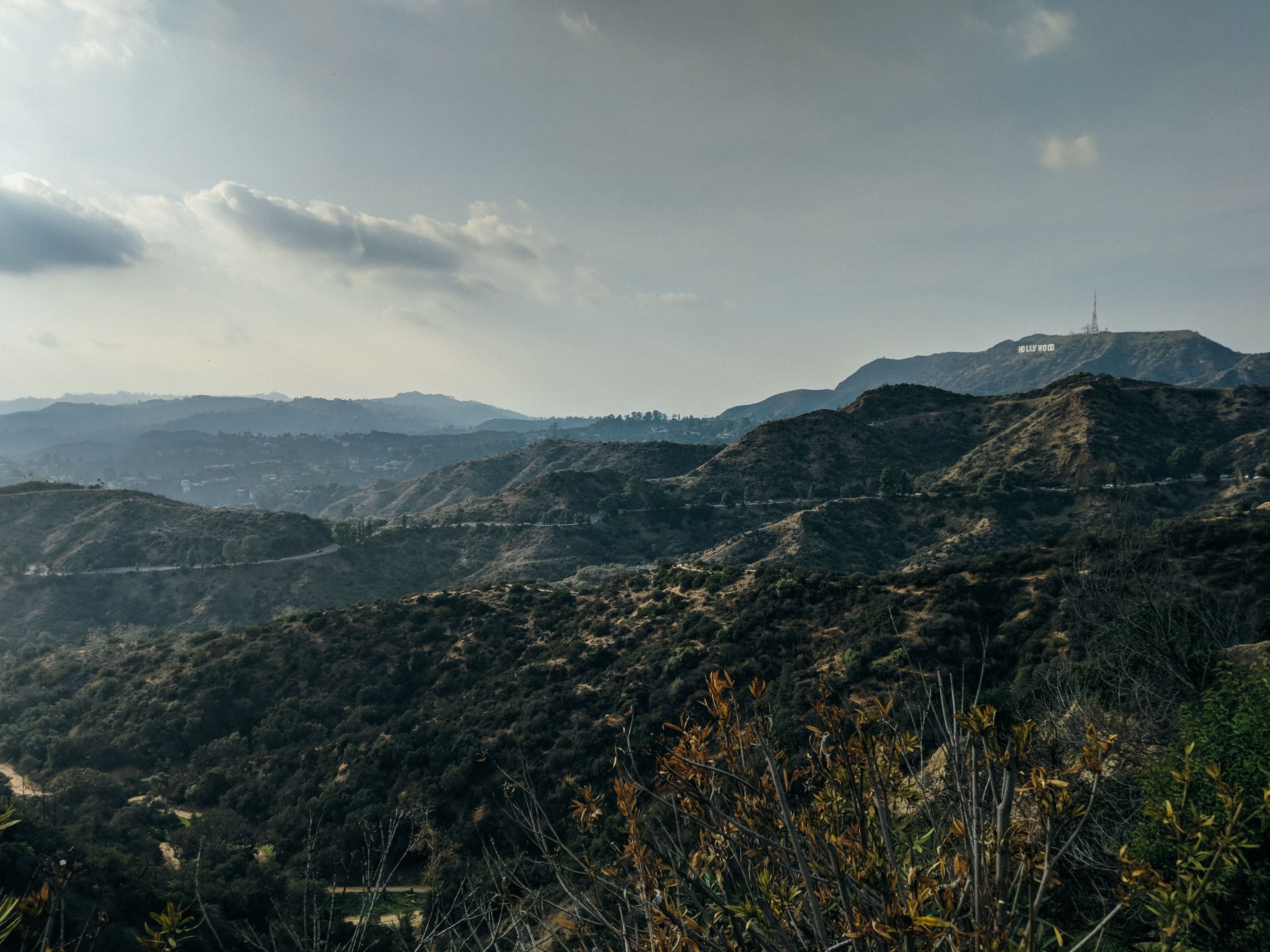 US California Los Angeles Basin nature charlesdeluvio unsplash