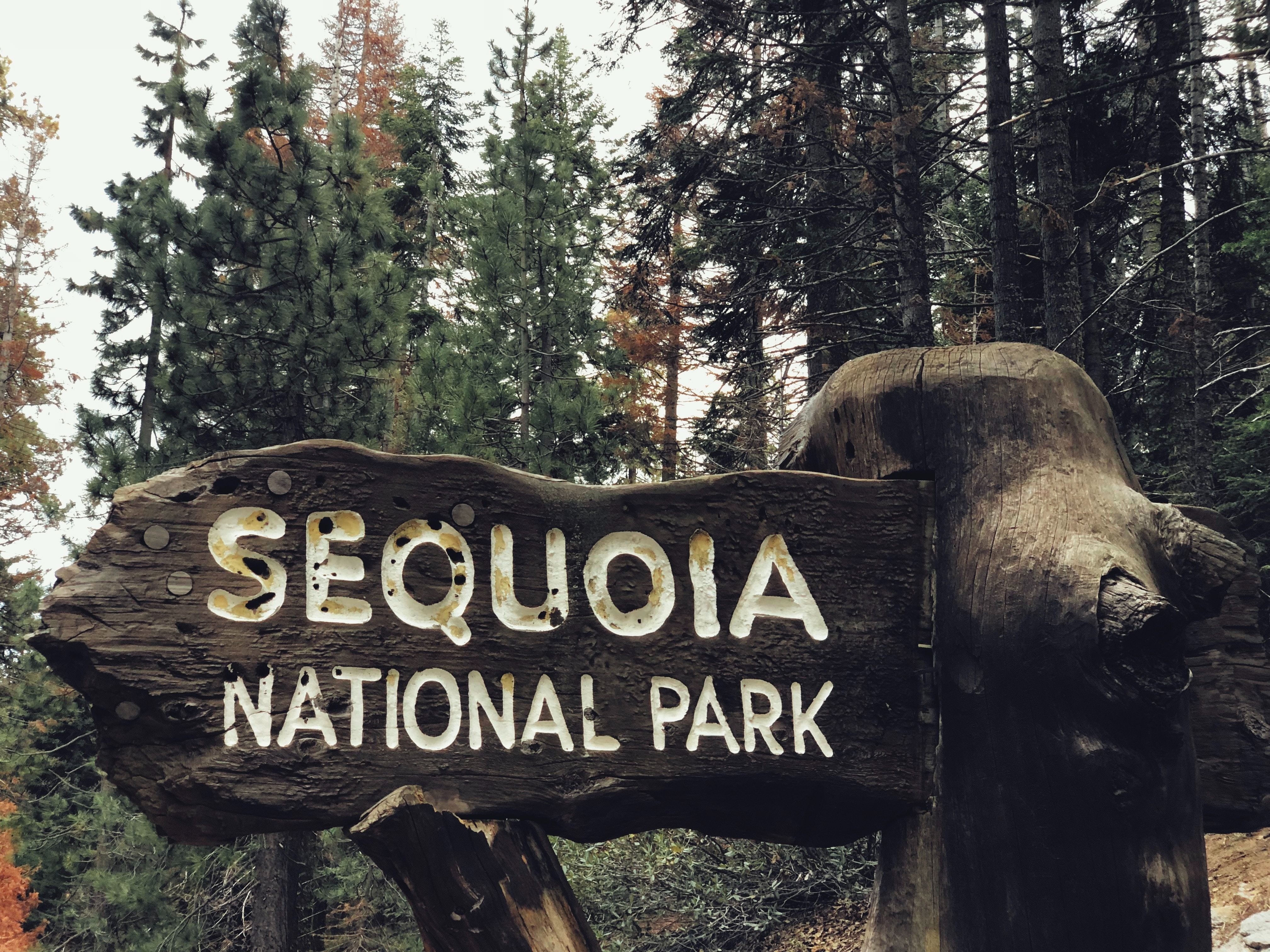 US California Sequoia Kings Canyon National Park entrance sign james lee unsplash