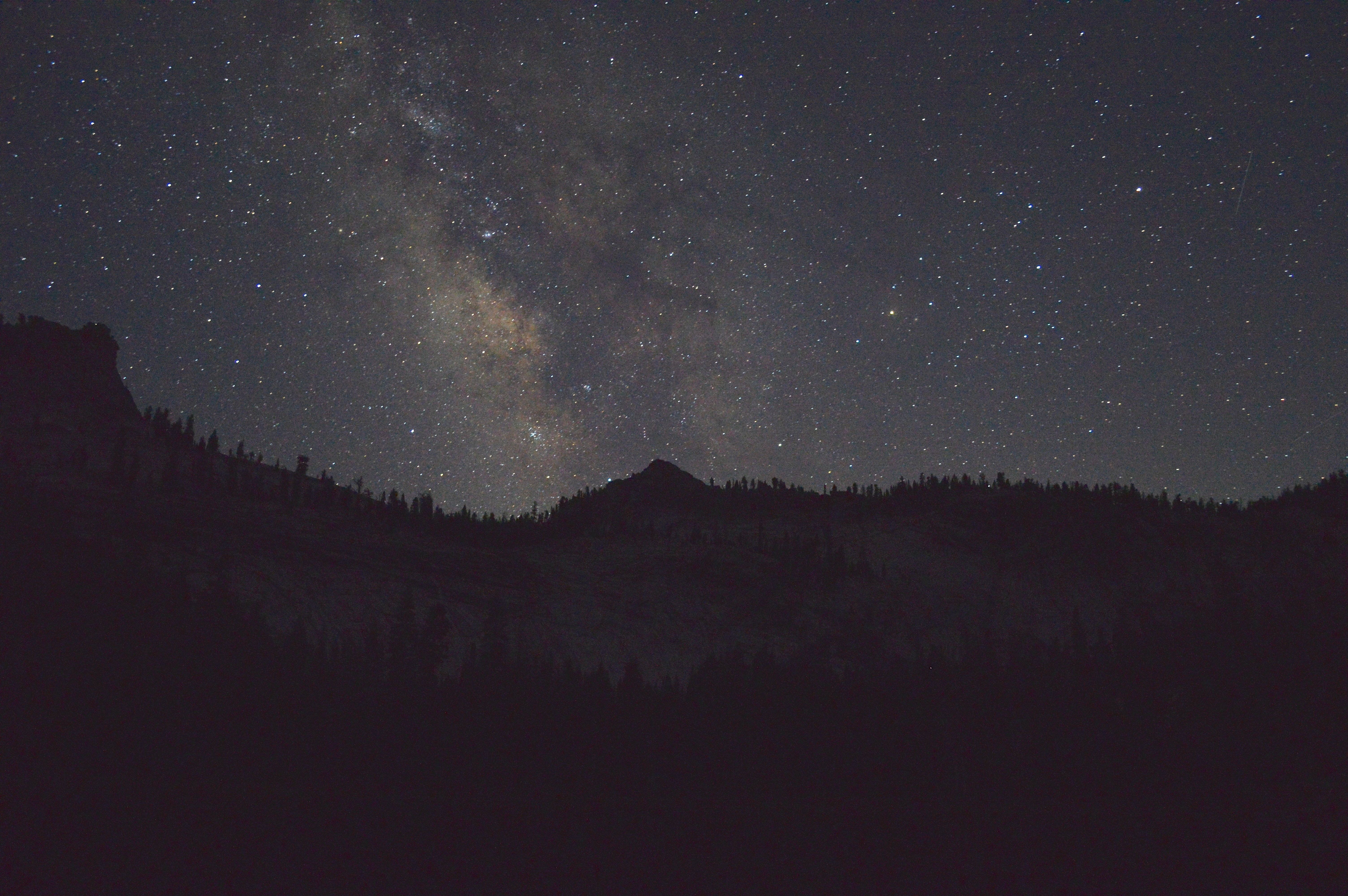 US California Sequoia Kings Canyon National Park night sky stars cam adams unsplash