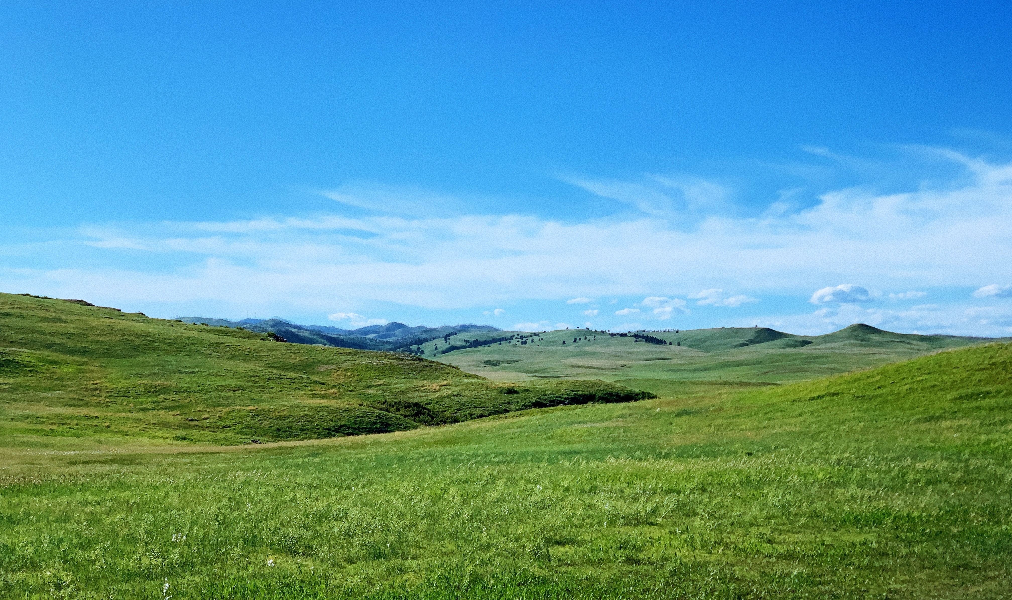 US South Dakota Black Hills landscape tommy bond unsplash