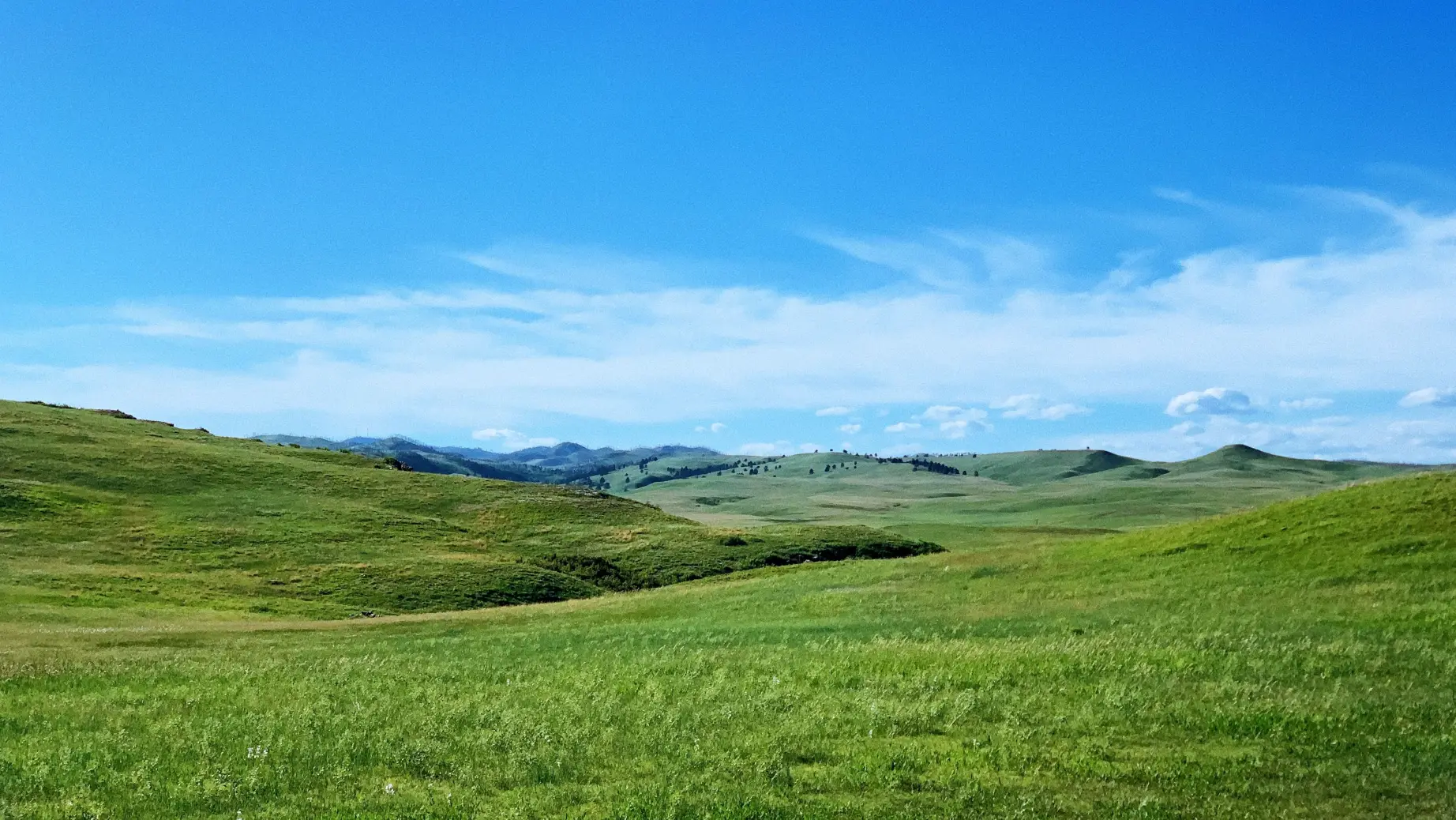 US South Dakota Black Hills landscape tommy bond unsplash