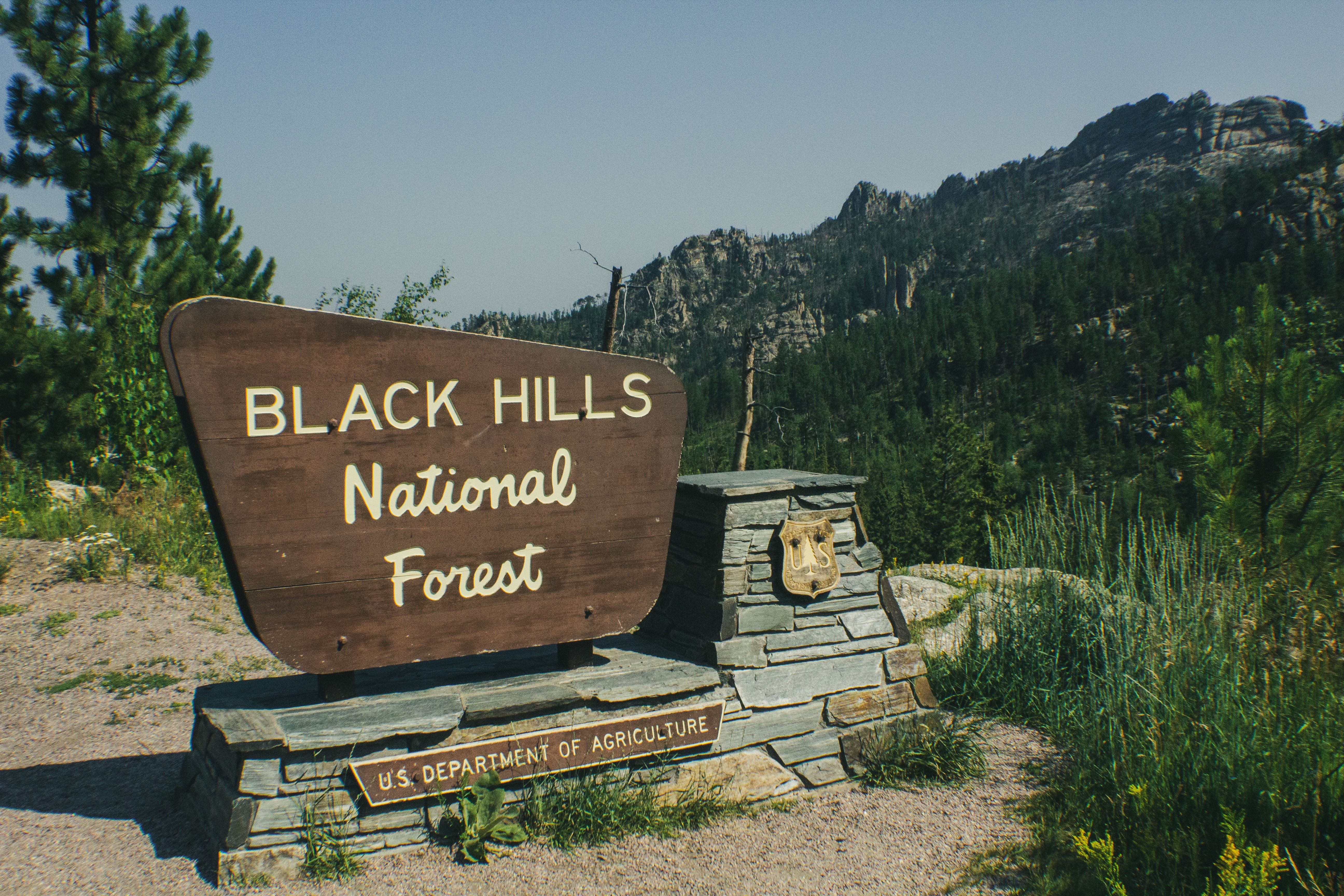 US South Dakota Black Hills national forest spencer james lucas unsplash