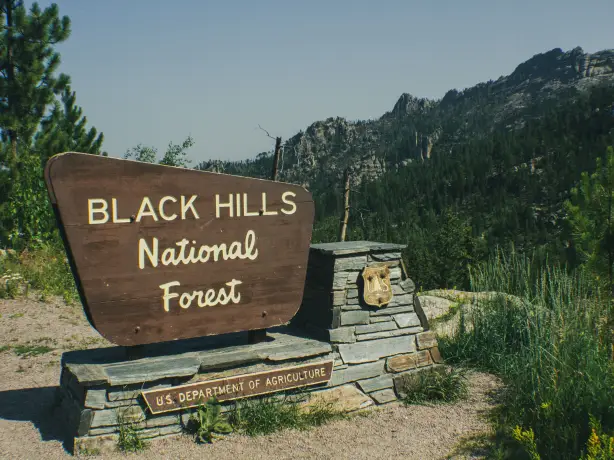 US South Dakota Black Hills national forest spencer james lucas unsplash