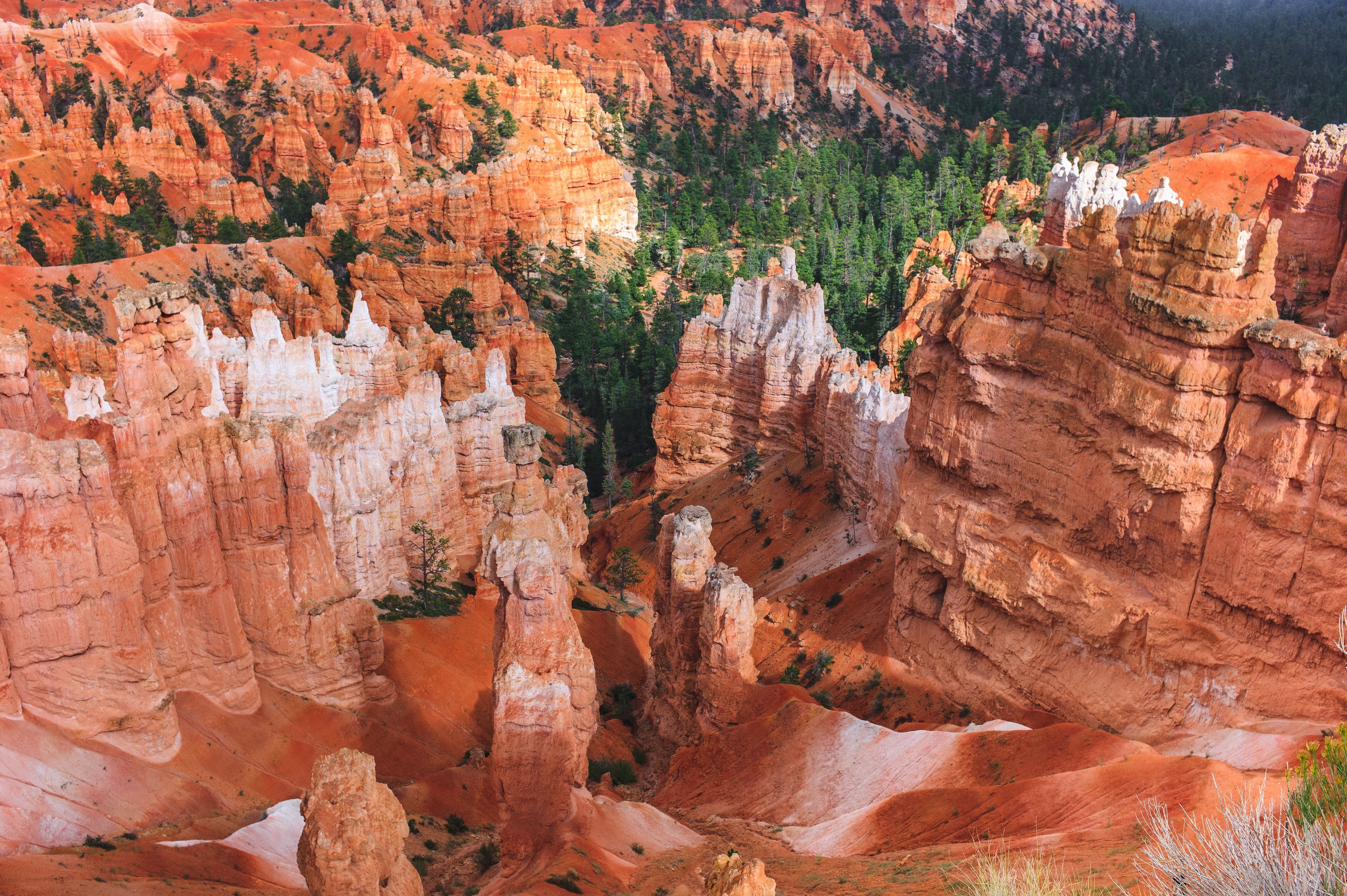 US Utah Bryce Canyon NP aerial view luca bravo unsplash