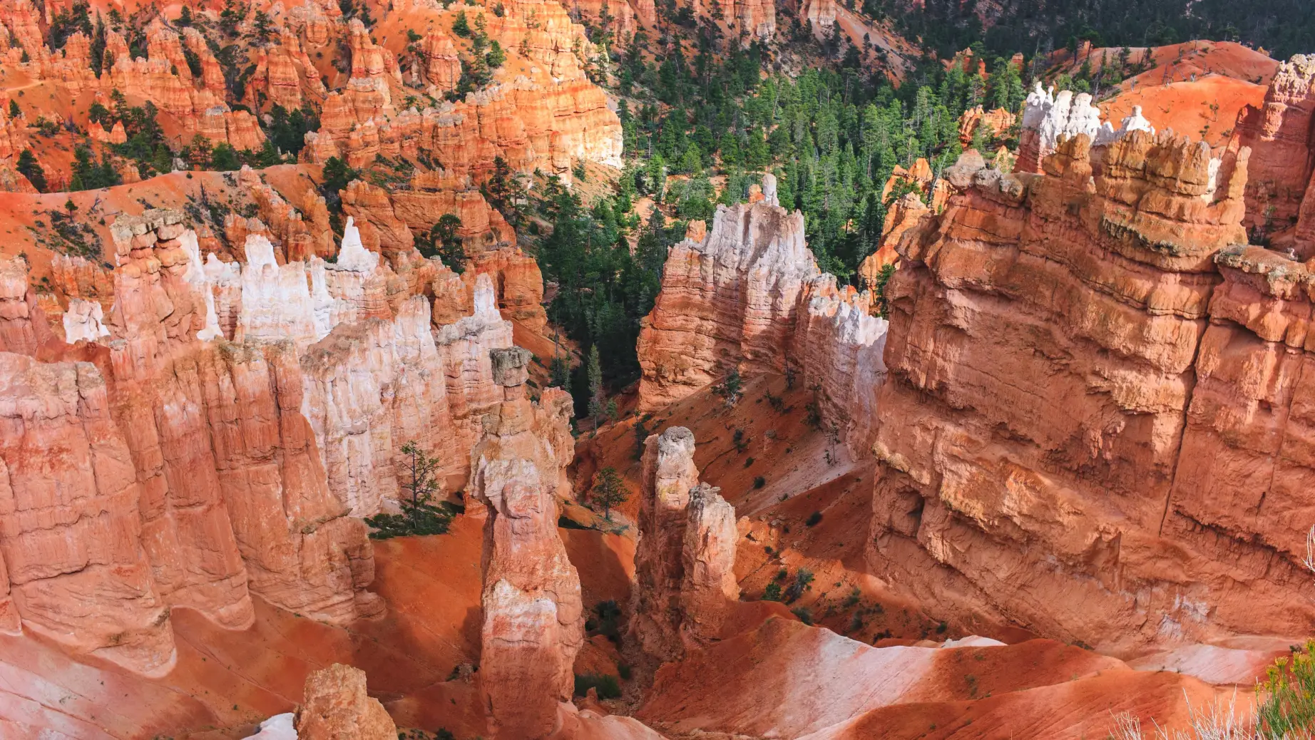 US Utah Bryce Canyon NP aerial view luca bravo unsplash