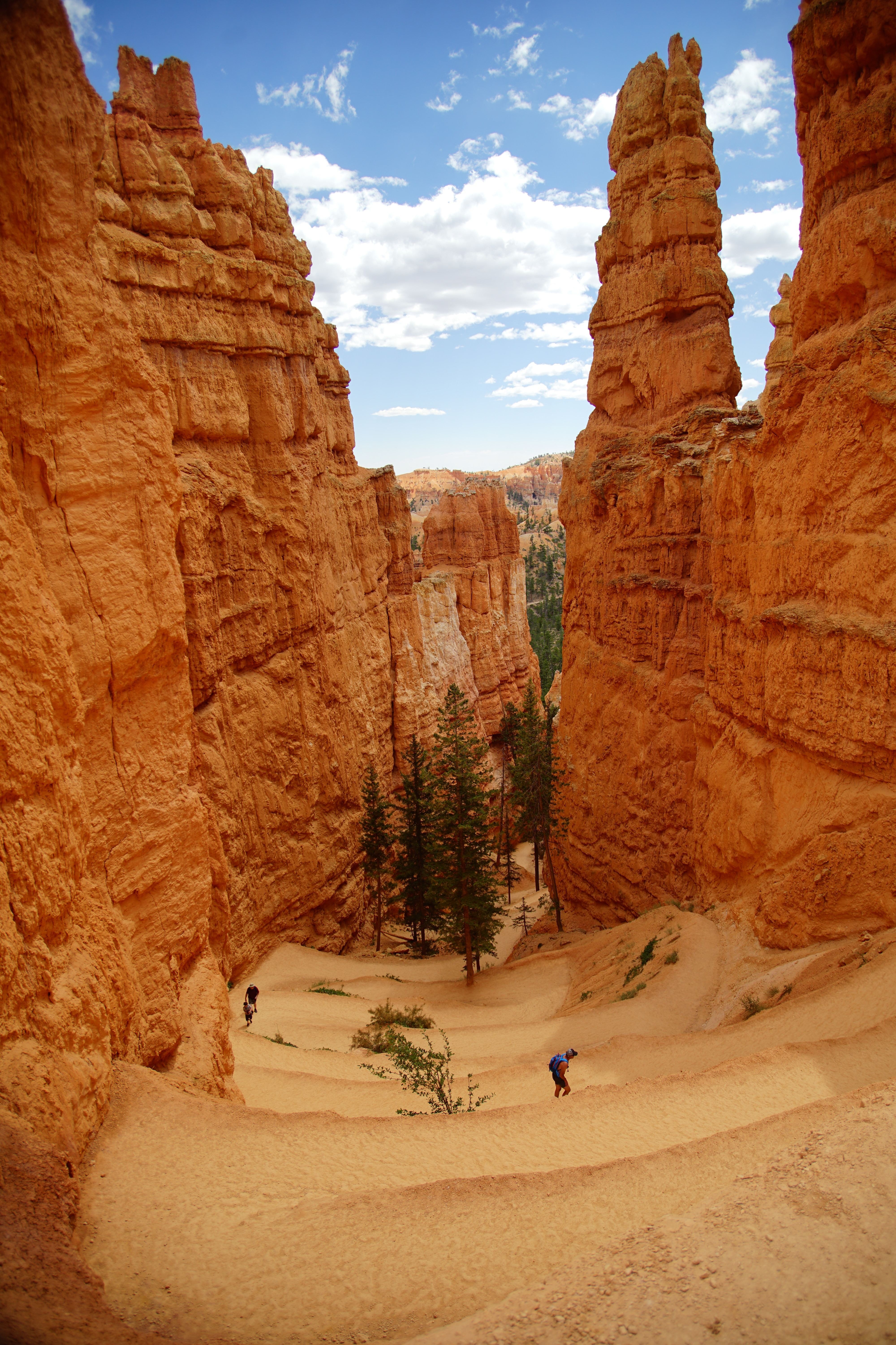 Wanderwege im Bryce-Canyon-Nationalpark, Utah, USA