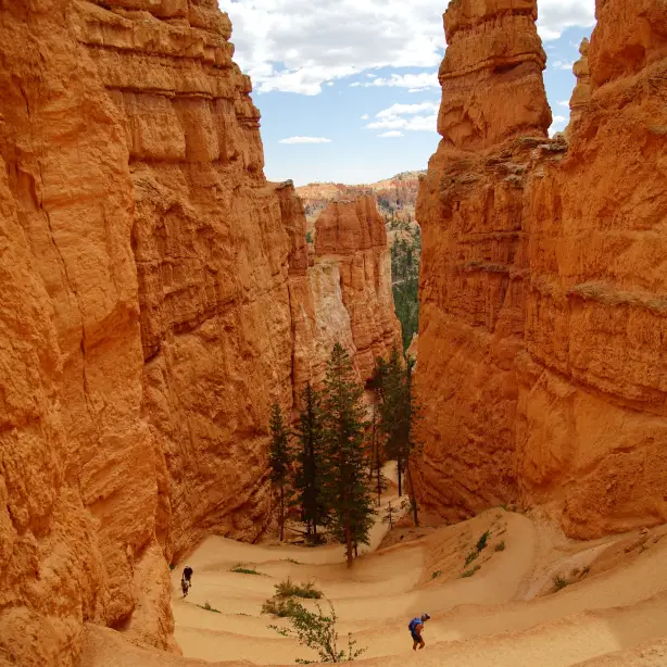 Wanderwege im Bryce-Canyon-Nationalpark, Utah, USA