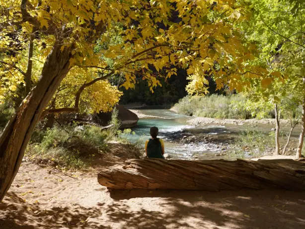 US California Zion national park autumn jaida stewart unsplash