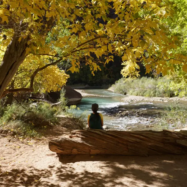 US California Zion national park autumn jaida stewart unsplash